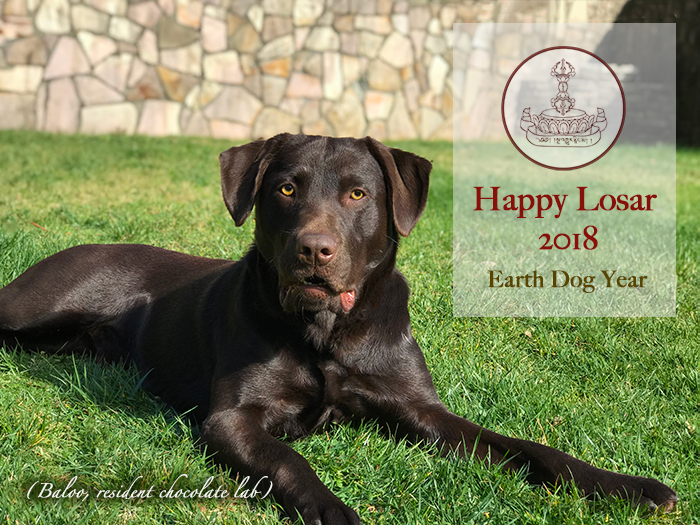 Happy Losar 2018, Earth-dog Year