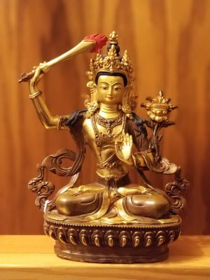 Peaceful Manjushri Empowerment and Teachings (HH Jigme Phuntsok Rinpoche’s terma)