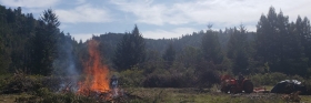 Forestry & Fire Prevention at Ati Ling-PPI
