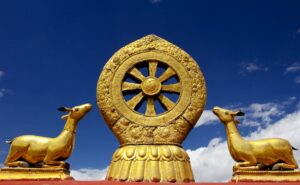 <br />
<b>Warning</b>:  Undefined variable $alt_text in <b>/home/z0sb64rfq71u/public_html/lotusbornmedia.com/wp-content/themes/eduf2024/parts/image.php</b> on line <b>14</b><br />
